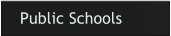 CEF's public school emphasis