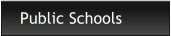 CEF's public school emphasis